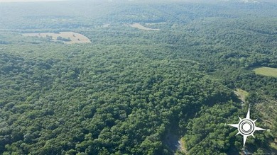 161.6+/- wooded acres near beautiful Lake Tenkiller offering - photo 15