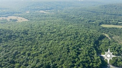 161.6+/- wooded acres near beautiful Lake Tenkiller offering - photo 16