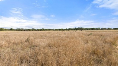 100 acres with 1,950' of live water on Rocky Creek & the - photo 17