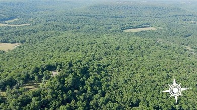 161.6+/- wooded acres near beautiful Lake Tenkiller offering - photo 18