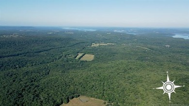 161.6+/- wooded acres near beautiful Lake Tenkiller offering - photo 21