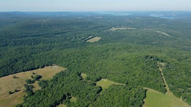 161.6+/- wooded acres near beautiful Lake Tenkiller offering - photo 23