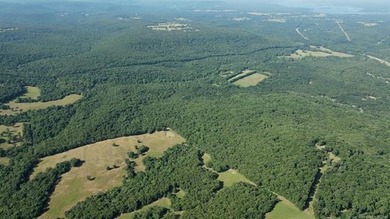 161.6+/- wooded acres near beautiful Lake Tenkiller offering - photo 26