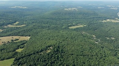 161.6+/- wooded acres near beautiful Lake Tenkiller offering - photo 28
