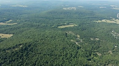 161.6+/- wooded acres near beautiful Lake Tenkiller offering - photo 29