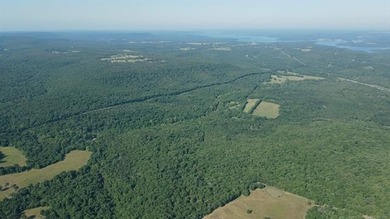 161.6+/- wooded acres near beautiful Lake Tenkiller offering - photo 30