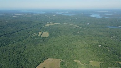 161.6+/- wooded acres near beautiful Lake Tenkiller offering - photo 31