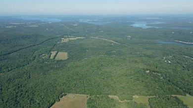 161.6+/- wooded acres near beautiful Lake Tenkiller offering - photo 32