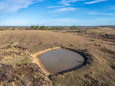 Welcome to the Clearview Ranch, an incredible 635 +/- acre cross - photo 44