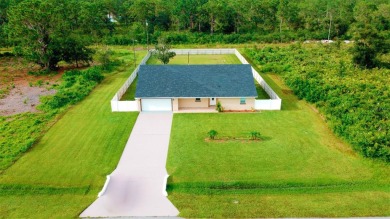 Lake Weohyakapka (Lake Walk-In-Water) Home For Sale in Indian Lake Estates Florida