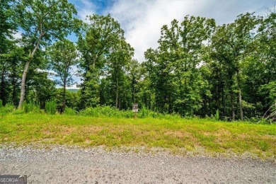 Lake Blue Ridge Lot For Sale in Morganton Georgia