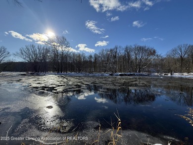 Lake Acreage For Sale in Portland, Michigan