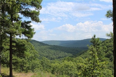 Multiple residences for over 10,000 square foot total Rare 400 - photo 17