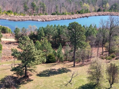 Multiple residences for over 10,000 square foot total Rare 400 - photo 20