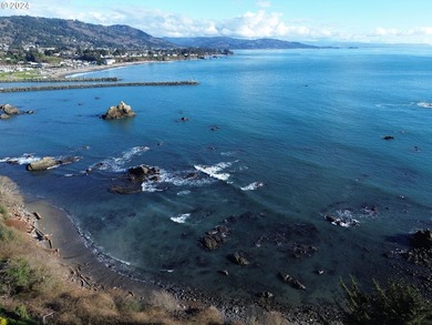 SPECTACULAR OCEAN VIEW OF PORT ENTRANCEe have a look at this - photo 6
