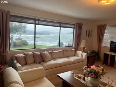 SPECTACULAR OCEAN VIEW OF PORT ENTRANCEe have a look at this - photo 7