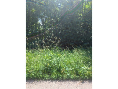 Lake Lot For Sale in Stanley, Wisconsin