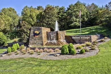 Brand-new construction in Tellico Village, offering modern - photo 46