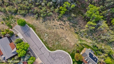Build Your Dream Home in Lakota Ranch! Located at the end of a - photo 2