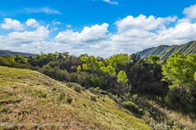 Build Your Dream Home in Lakota Ranch! Located at the end of a - photo 7
