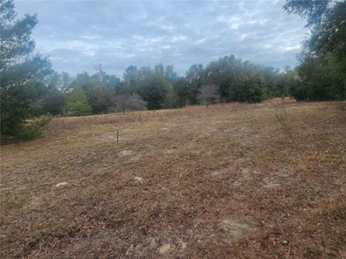 Citrus Lake  Lot For Sale in Inverness Florida