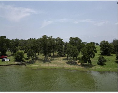 Beautiful 1.28 acre open water lot in the exclusive Moonlight - photo 4