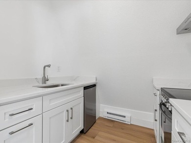 Just completed, this beautifully renovated transitional home is - photo 14