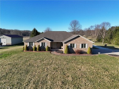 Lake Home For Sale in Minerva, Ohio