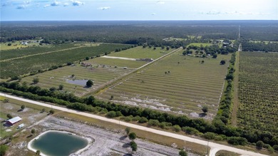(private lake, pond, creek) Acreage For Sale in Fellsmere Florida