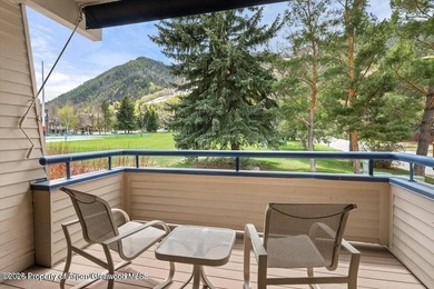 Own in the Heart of Aspen -- Without the Full-Time Commitment - photo 3