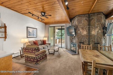 Own in the Heart of Aspen -- Without the Full-Time Commitment - photo 5