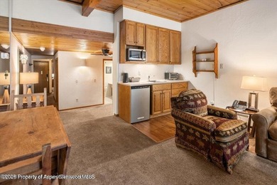 Own in the Heart of Aspen -- Without the Full-Time Commitment - photo 7
