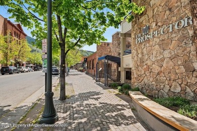 Own in the Heart of Aspen -- Without the Full-Time Commitment - photo 9