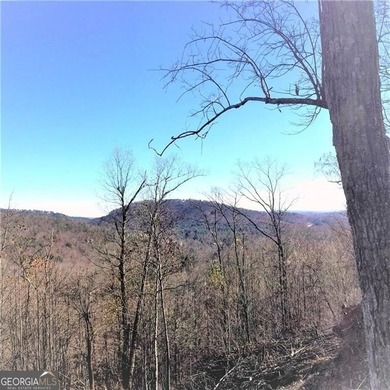 Lake Sconti Acreage For Sale in Jasper Georgia