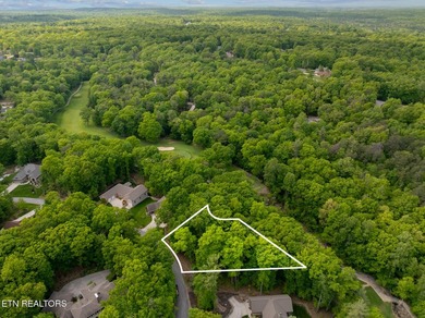 Discover this lovely Natural Gas wooded lot offering seasonal - photo 16