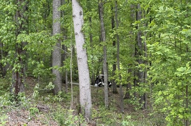 Discover this lovely Natural Gas wooded lot offering seasonal - photo 17