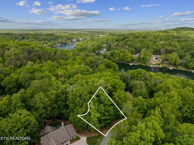 Discover this lovely Natural Gas wooded lot offering seasonal - photo 19