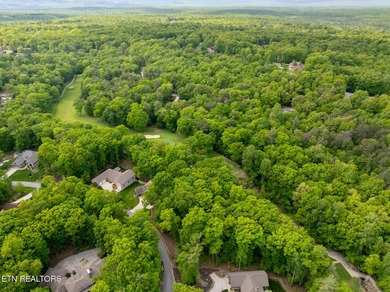 Discover this lovely Natural Gas wooded lot offering seasonal - photo 20