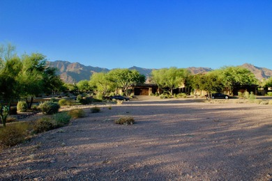 Build your Dream Home in Prospector Village at Superstition - photo 22