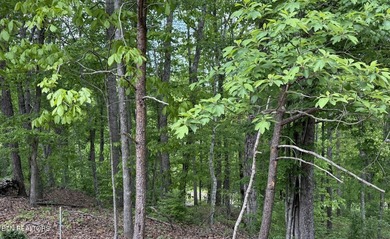Discover this lovely Natural Gas wooded lot offering seasonal - photo 22