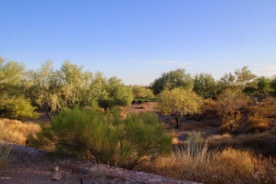 Build your Dream Home in Prospector Village at Superstition - photo 23
