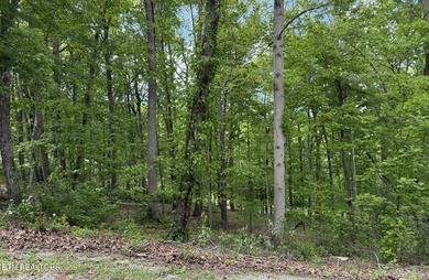 Discover this lovely Natural Gas wooded lot offering seasonal - photo 23