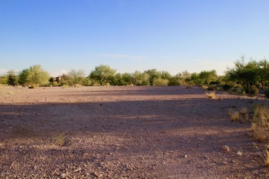 Build your Dream Home in Prospector Village at Superstition - photo 24