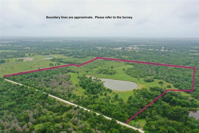 (private lake, pond, creek) Acreage For Sale in Wortham Texas