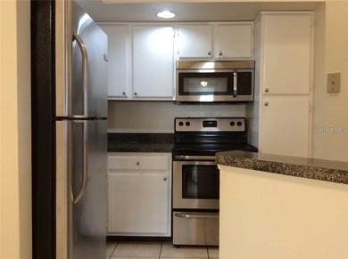 **COMPLETELY UPGRADED KITCHEN AND BATHROOMS** Lake View with - photo 8