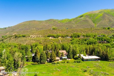 This 17,360 sq ft lot is your blank canvas in Aspen--ready for - photo 10