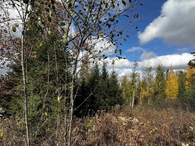 (private lake, pond, creek) Acreage For Sale in Foster City Michigan