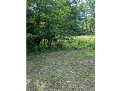 Beautiful corner lot with creek running through. Very close to - photo 2