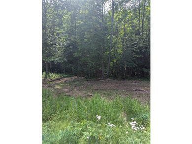 Beautiful corner lot with creek running through. Very close to - photo 3