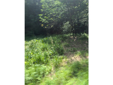 Beautiful corner lot with creek running through. Very close to - photo 4